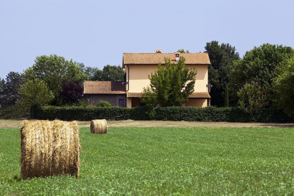 Вилла Agriturismo Ferento E Il Castagno Витербо Экстерьер фото