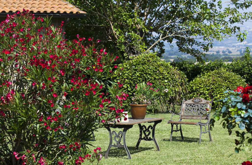 Вилла Agriturismo Ferento E Il Castagno Витербо Экстерьер фото